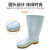 丽泰雨鞋卫生靴白色中高低筒耐油耐酸碱防水防滑雨靴牛筋底 丽泰白色雨靴中筒 42