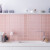 马卡龙面包砖300X600粉色格子瓷砖北欧厨房卫生间墙砖釉面砖 粉色地砖300X300 其它