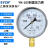 SYCIF上海仪川仪表 耐震防震抗震压力表YN100 充油表 气压油压水压真空 YN100 0-0.1MPa