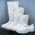 卫生靴白色雨鞋厂专用工作雨靴防滑防油劳保水鞋胶鞋 216女不加棉款 标准码 36