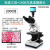 日新光学生物水产养殖显微镜双目RXT-76TV精子高清宠物医院三 三目+1400万像素高清摄像头