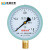 匡建仪表（CONJANT）Y-100压力表径向真空压力表指针式水压表油压表气压表表盘直径100mm 0-1.6MPa 