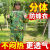 防蜂服套分体养峰衣透气蜜蜂防护服加厚养抓蜜蜂穿的衣服 林地分体尖帽款身高178-185