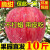 尔蝶陕西红富士苹果新鲜水果10斤冰糖心时令丑苹果当季水果脆甜整箱 精选9斤装 80-85mm