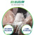 百得（Pattex）AAM PLUS-W醇型防霉玻璃胶密封胶防水中性硅胶硅酮胶水槽台盆马桶美容胶收边胶结构胶 白色4支