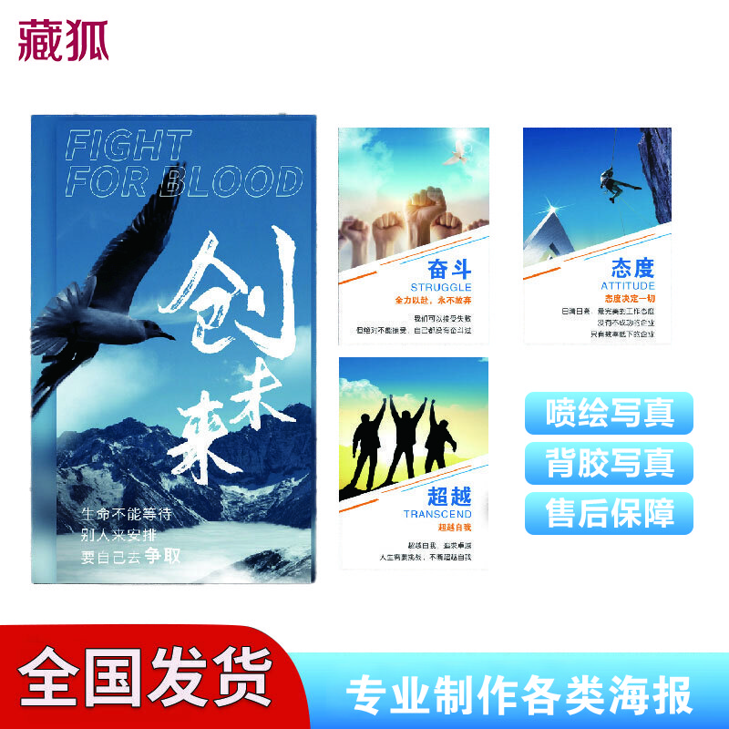 藏狐（ZANGHU）户内宣传海报画面 127cm