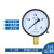 适用上海仪川仪表 径向负压真空压力表Y100 水压油压气压表 01.6 Y100 01.6MPa(16公斤)