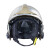 梅思安（MSA）F1XF消防头盔10166681 灭火抢险救援头盔 基本款 镍色中号 定制 拍前联系客服