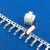 PHB压线双排PD端子带锁带扣连绕双排2.0mm端子后镀过盐雾 母端子-磷铜后镀(16000只/盘)