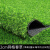 兰诗 DM10 仿真草坪地毯 足球场人造塑料假草皮 高2cm网格春草 1平方宽2m*0.5m