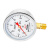红旗（HONGQi）YTN-100径向抗震压力表表充油压力表0-6mpa耐震防震油压表气压表M20*1.5	