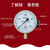红旗 红旗牌仪表YTZ-150电阻远传压力表变频器专用恒压供水远程传感表 -0.1~2.4MPa 