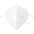 中科贝思达  ZKG9501 耳戴式防护口罩 独立包装 KN95 白色 10盒（500只）