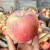 农仙味新疆红富士苹果新鲜水果时令节日礼盒送礼冰糖心苹果整箱 带箱9.5斤净重8.5斤单果75-79mm