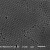 单分散二氧化硅纳米微球（0.05-200微米） 20毫升 2.5%固含量25mg/ml