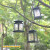 新光达厂家直销太阳能吊灯户外庭院花园装饰LED挂灯挂树蜡烛灯星 5个装(等于买4个的价格)