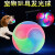 顺识狗狗玩具发光球闪烁弹性球夜光互动宠物玩具适合小狗猫 闪光小号磨砂球