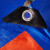 锦安行 JCH-PEB-2-3 PE 防雨篷布 工业加厚彩条布防雨布雨棚布帆布 5x7m 红蓝色 厚0.2mm 克重135g/m²