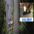 脚扣水泥杆电工国标脚爬电线杆的脚踏上电杆脚钩爬树工具脚踏板 大口径390mm爬杆12 15米