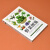 【包邮】含章·图鉴系列（植物图鉴） 野菜图鉴 250余种野菜与20余种野果速查速认