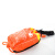 聚远（JUYUAN）水域救援绳包荧光救生绳抛绳包防汛救生装备反光绳包（粗）8毫米（长）21米 一套价