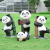 奥兰星仿真熊猫户外大型雕塑美陈售楼部幼儿园公园景区草坪动物装饰摆件 蹲姿熊猫(0.6m)
