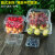 一次性水果盒 超市一次性水果包装盒透明塑料盒水果500M水果店一 1813H4黑色-整箱1800个