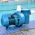 定制适用蓝泳HL大款水泵泳池水疗按摩吸污游泳池带毛发过滤器循环过滤水泵 HL-2.0HP2F220V HL-3.5HP/220V