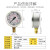 威卡WIKA压力表EN837-1耐震不锈钢测压液压表真空轴向表 威卡轴向表2.5Mpa 25ba