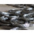 唯诺达定制电工穿线钢丝硬黑弹簧钢丝电梯井道放样丝拉线钢丝单线钢丝细 1斤0.3mm(一公斤约860米)