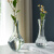 法式复古小花瓶浮雕玻璃迷你花瓶ins风透明水培插花客厅装饰摆件 图腾浮雕花瓶