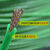 奔新农（BENXINNONG）绿钢丝绳包塑葡萄架遮阳网晾衣绳牵引大棚猕猴桃百香果 4MM钢丝绳包塑7米一套