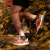 ALTRA奥创LP7越野跑鞋户外运动男式低帮徒步鞋防滑越野跑鞋户外鞋 男款- 棕灰色 40
