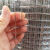 铁丝网电焊网抹墙防裂水泥网建筑网抹灰网养殖围栏网圈玉米网 1米高07毫米粗13厘米孔18米