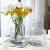 维诺亚法式轻奢ins风冰川纹透明玻璃绣球花瓶客厅摆件水培养干花鲜花瓶 B-冰川透明
