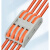 快速接线端子 多功能电线连接器导线对接线夹分线接头连接端子 4进4出/50只(橙色款)