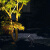 灯典（DENG DIAN）公园道路户外照树灯防水园林景观射灯别墅花园草坪射树灯底座款G-003723DZ 12w 3000K IP65