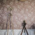 哲旭 进口风格复古玫瑰花壁纸客厅卧室餐厅床头背景法式花卉墙布定制 材质随机小样