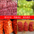 定制网袋编织袋装玉米洋葱塑料加密加厚绿色网眼袋橙子水果网兜袋 桔红加密52*85(承重约60斤)