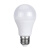 LED灯泡 功率36W  电压220V  规格E27
