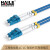 海乐(HAILE)  铠装防鼠咬电信级单模双芯光纤跳线 20米  HJ-2LC-LC-SK20