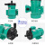 MP磁力泵氟塑料耐酸碱耐腐蚀无微型化工泵MP磁力驱动泄漏循环泵 MP10RN插管式进出口14MM220V