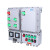 诺比配电箱照明动力检修柜控制电源仪表按钮接线箱 防爆仪表箱