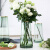 墨斗鱼玻璃花瓶富贵竹插花神器北欧轻奢描金花瓶水培植物透明花瓶花器