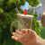 奶茶杯可循环创意新款高硼硅透明玻璃杯可爱水果高颜值家用果汁杯吸管杯大容量 柠檬 杯+陶瓷盖+吸管+刷+礼盒