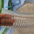 稳东定制汽柴油卸油管耐油耐寒王子胶管防静电钢丝软管零下35 -40度 2寸/DN50透明款   -40℃