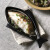 可可屋日本进口陶瓷芝士焗饭盘烘焙创意鱼型日式耐高温微波炉烤箱直火 10-813黑色 1个 28cm