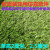 草坪围挡环保人造仿真草坪网隔离网护栏网绿色市政防护绿化草皮 2米宽25米长三色草2厘米厚