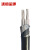 沈缆金环 ZR-YJLV22-0.6/1KV-2*16mm² 国标铝芯铠装阻燃电力电缆 1米