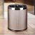 急先锋 垃圾桶厨房厕所卫生间轻奢简约 垃圾桶 10L-银圈咖啡色烤漆
